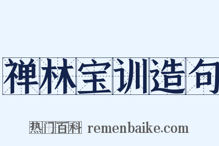 禅林宝训造句是什么意思的图片